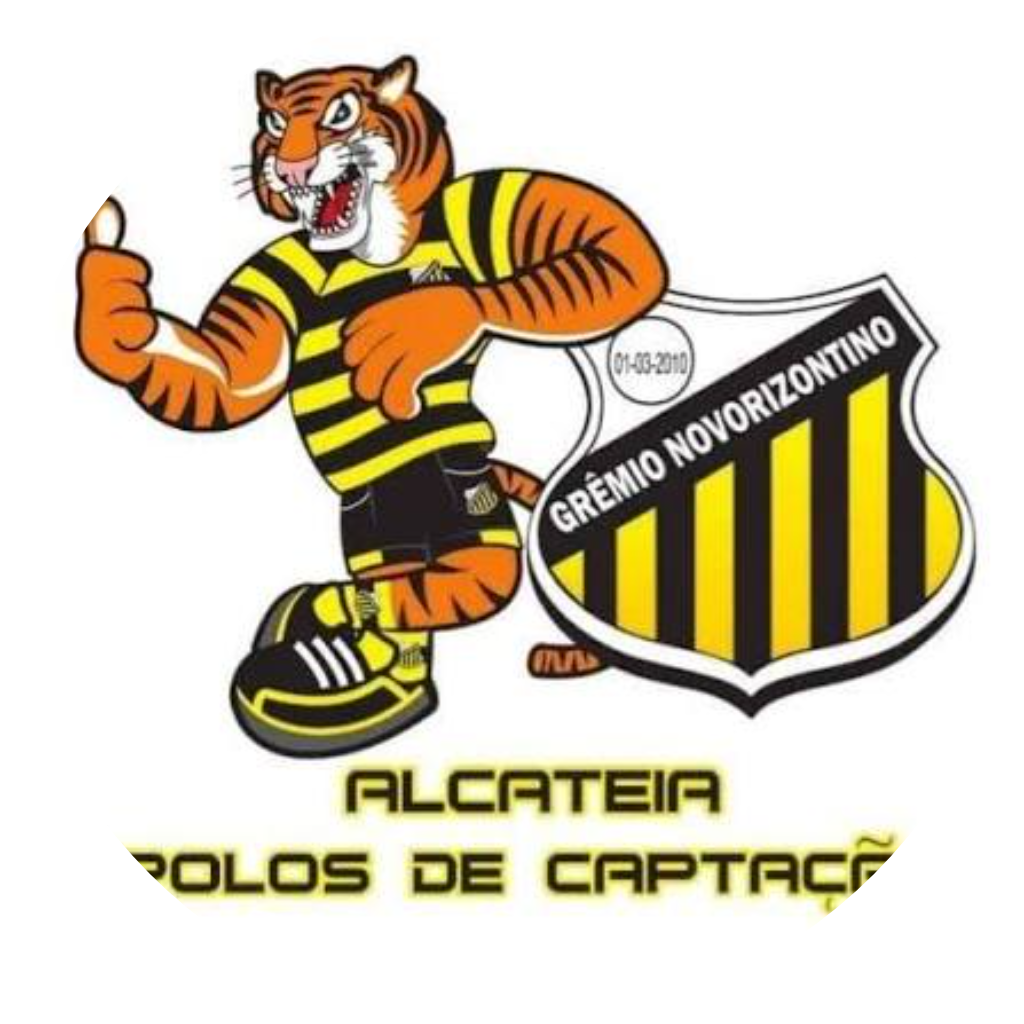 Escudo do time